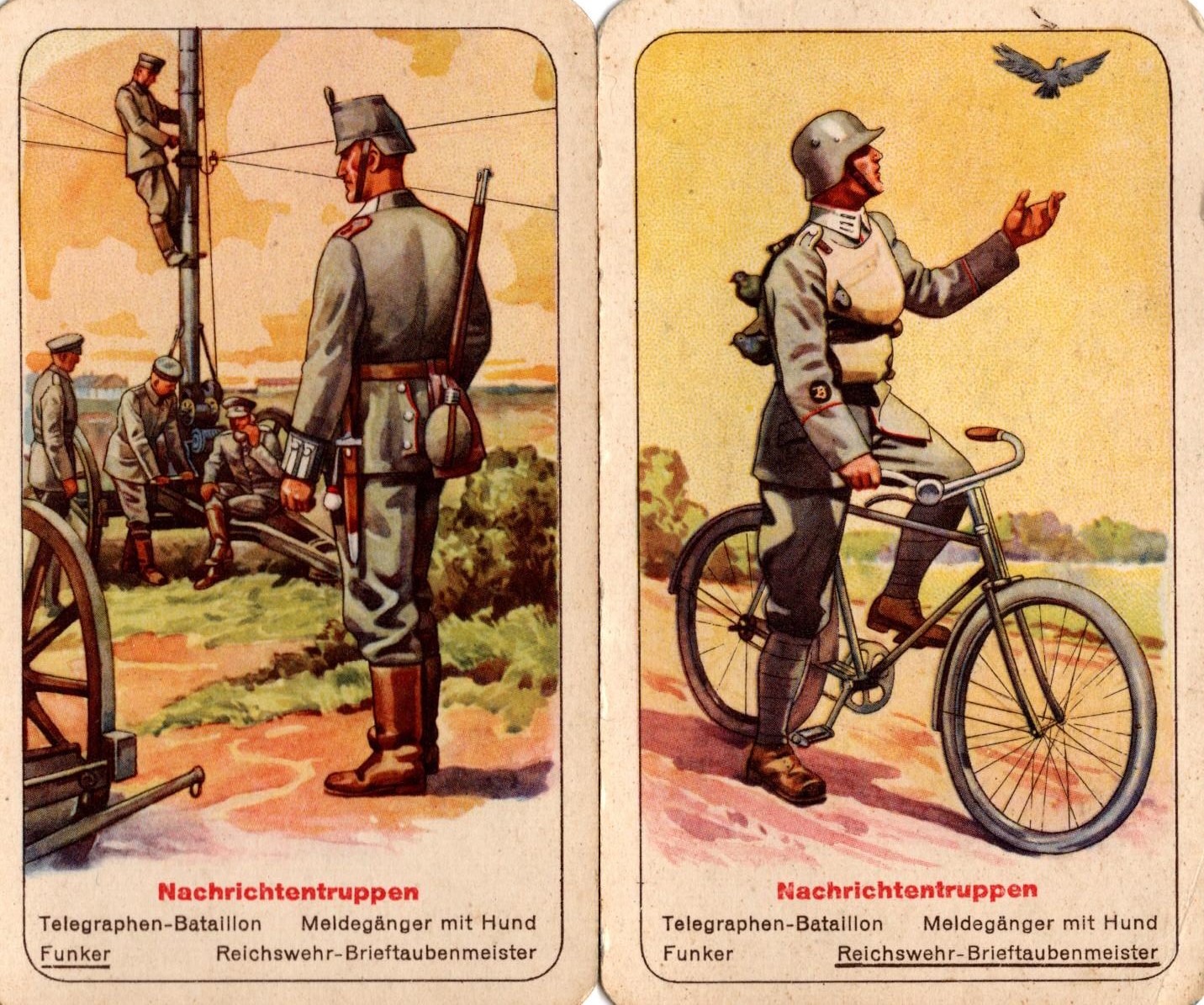 Carrier pigeon signals trooper from Deutsches Heer Quartett