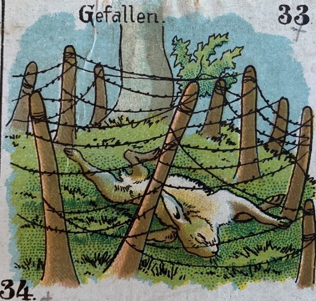 Rabbit killed in trench wire on a game board